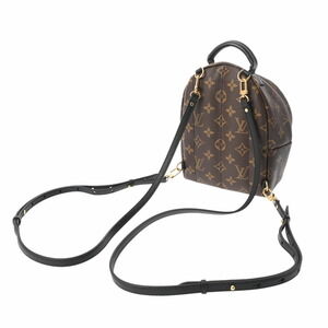Louis Vuitton Canvas Brown Daypack Monogram Springs Backpack Palm
